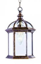  4183 WH - Wentworth 1-Light Atrium Style Outdoor Hanging Pendant